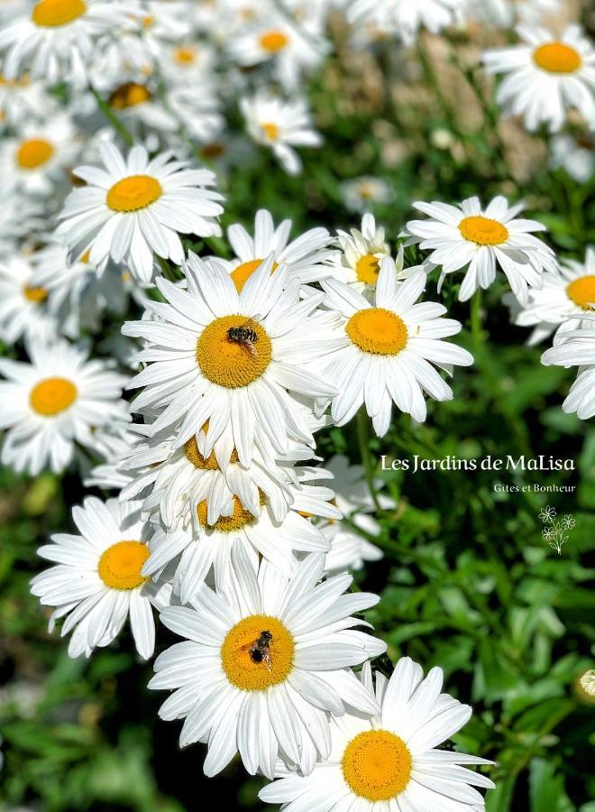 Les Jardins De Malisa *